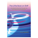 The Little Book on EMF