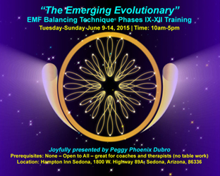 The Emerging Evolutionary