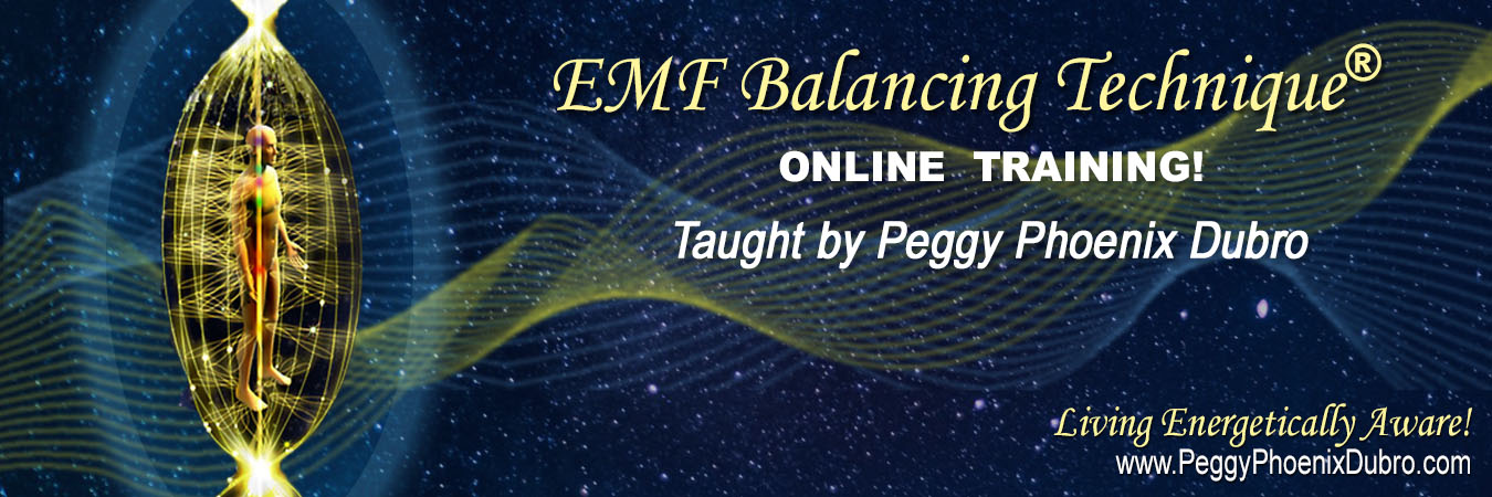 EMF Balancing Technique Online Training